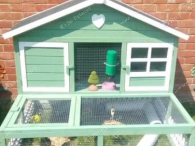 Blossom guinea pig outlet hutch