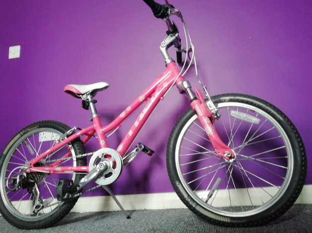 Trek cheap mt60 pink