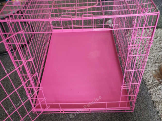 Extra large clearance pink dog crate