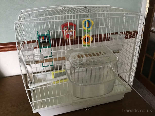 white budgie cage