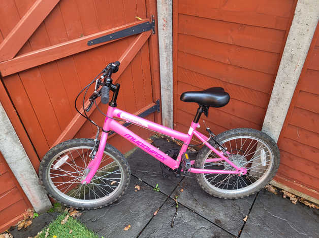 muddyfox pink ladies bike