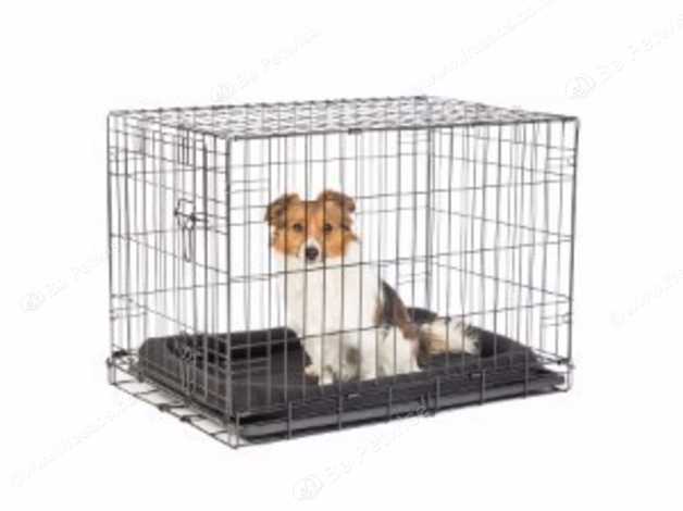 pets at home dog crates