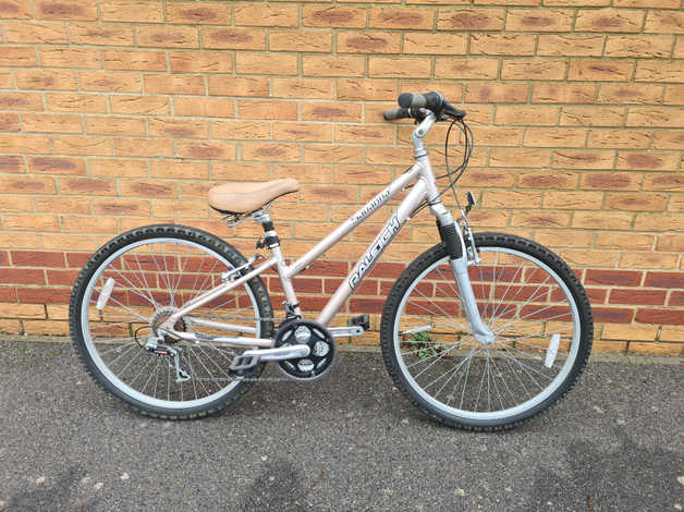 raleigh savanna ladies bike