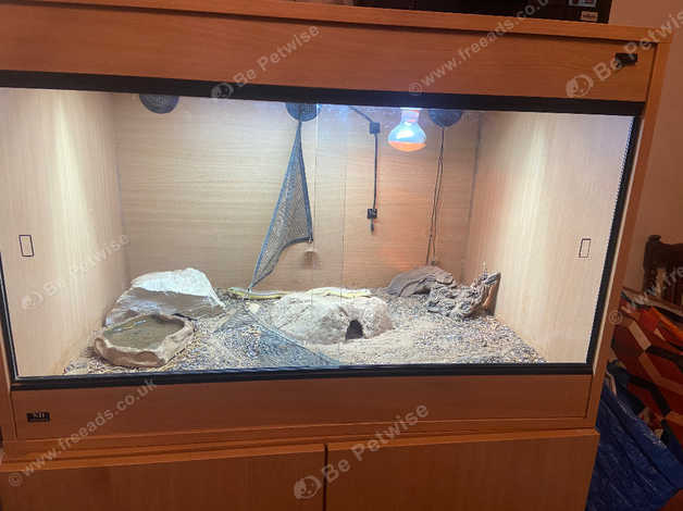 Lizard enclosure for clearance sale