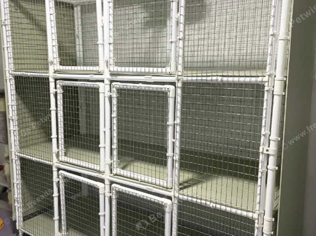 Cat hotsell breeding cages