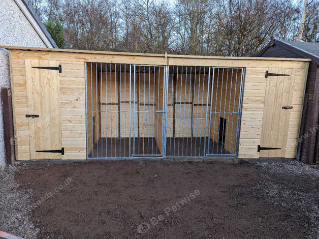 Running walker hound outlet kennels