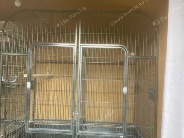 liberta endeavour parrot cage